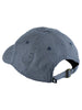 Pass-Port Minted Leagues Hat
