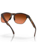 Oakley Frogskins Lite Matte Brown Tortoise/Prizm Brown Gradient