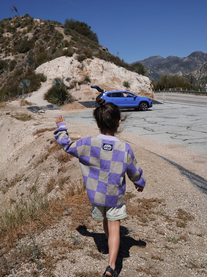 Two Stoked Kids Wild Ride Sweater (Kids 4-11) Fall 2026 | MULTI