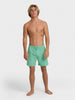 Billabong All Day Layback Boardshorts Spring 2026