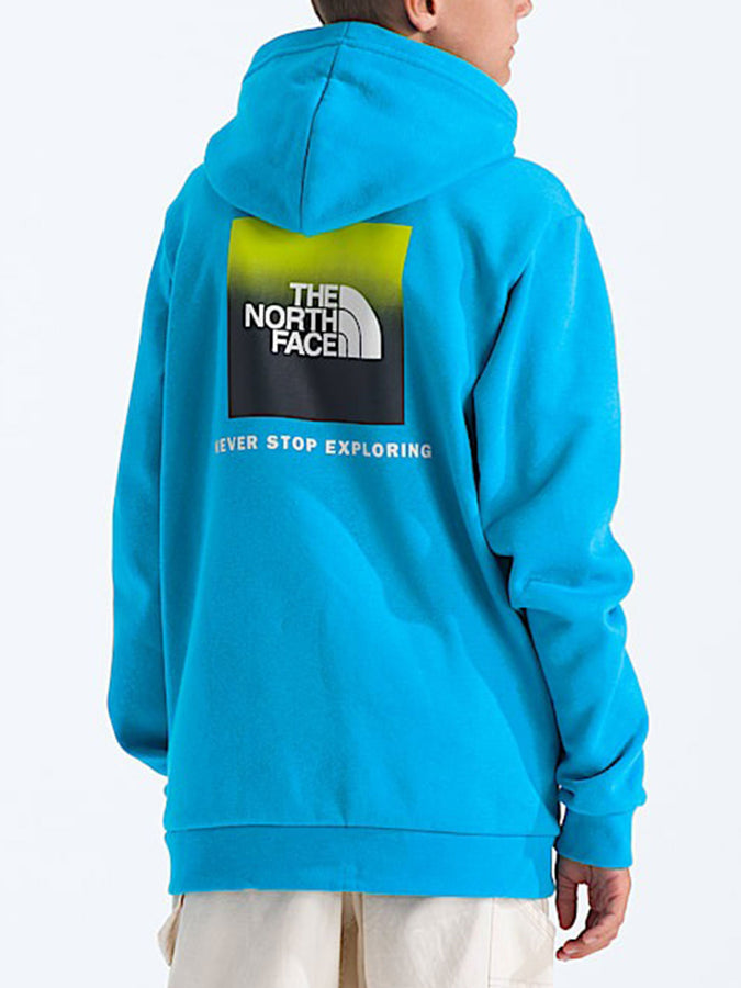 The North Face Evolution Box Nse Hoodie | MERIDIAN BLUE (D7R)