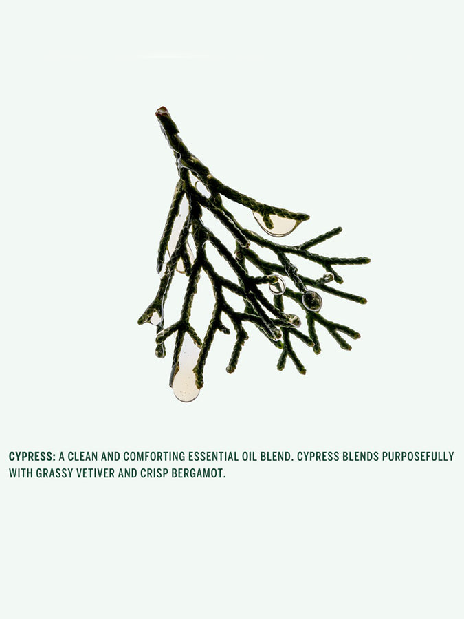 Corpus Conditioner Cypress 2026 |ASSORTED