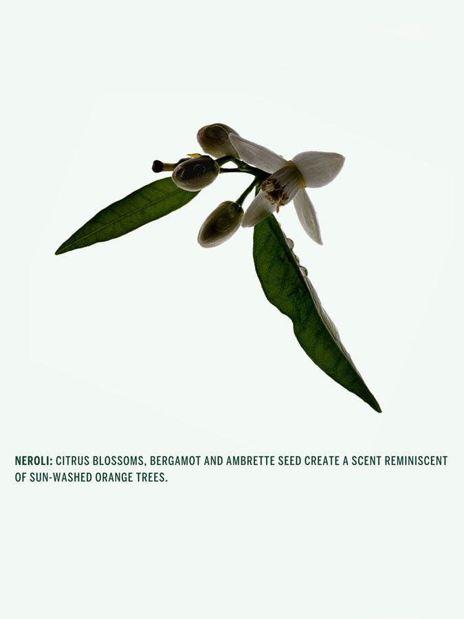 Corpus Deodorant Stick Neroli 2026 | ASSORTED