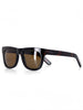 Ashbury Davidson Brown Tortoise Sunglasses