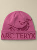 Arc'teryx Bird Word Beanie