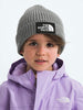 TNF Logo Box Cuffed Beanie