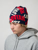 Loviah Arches Beanie