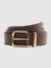 Levis Flynn Core Belt