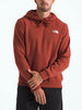 The North Face Evolution Box NSE Hoodie Spring 2026