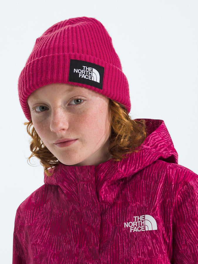 The North Face Salty Lined Beanie | LALI GURAN (BOS)