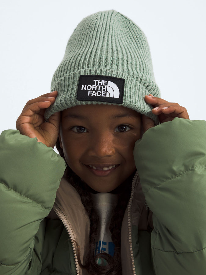 The North Face Tnf Logo Box Cuffed Beanie | SLATE MOSS (BQ1)