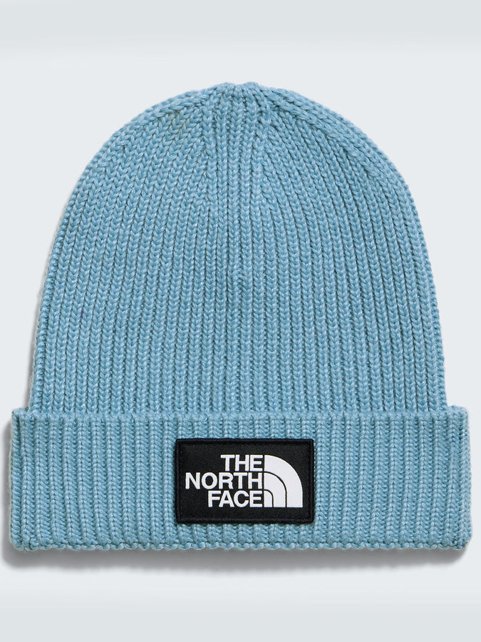 The North Face Tnf Logo Box Cuffed Beanie | PALE TEAL (NO6)