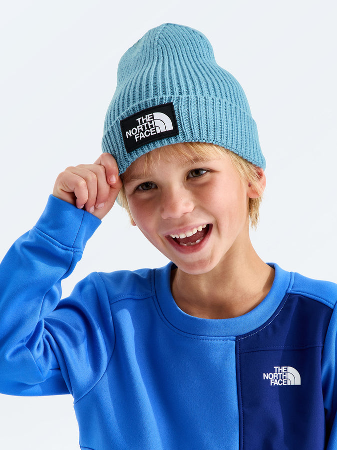 The North Face Tnf Logo Box Cuffed Beanie | PALE TEAL (NO6)