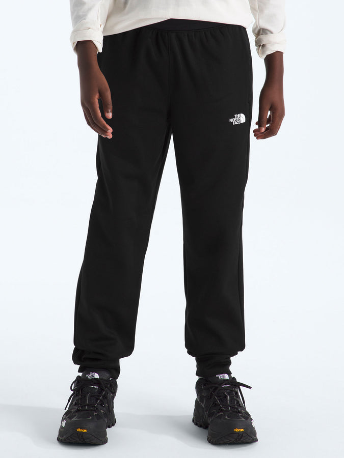 TNF Perfomance Fleece Jogger Pants | TNF BLACK (JK3)
