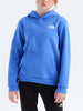 The North Face Evolution Box Nse Pullover Hoodie Fall 2026