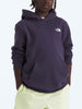 The North Face Evolution Simple Dome Hoodie Spring 2026