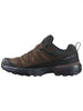 Salomon X Ultra 360 Leather GTX Dark Earth/Sharkskin Shoes