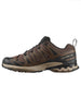 Salomon XA Pro 3D V9 Falcon/Desert Tan/Black Shoes