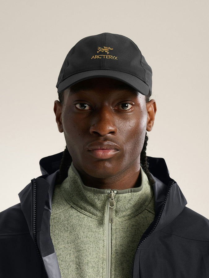 Arcteryx Bird Word Strapback Hat | 24K BLACK