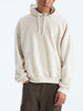 TNF Evolution Simple Dome Oversized Hoodie Spring 2026