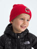 TNF Logo Box Cuffed Beanie