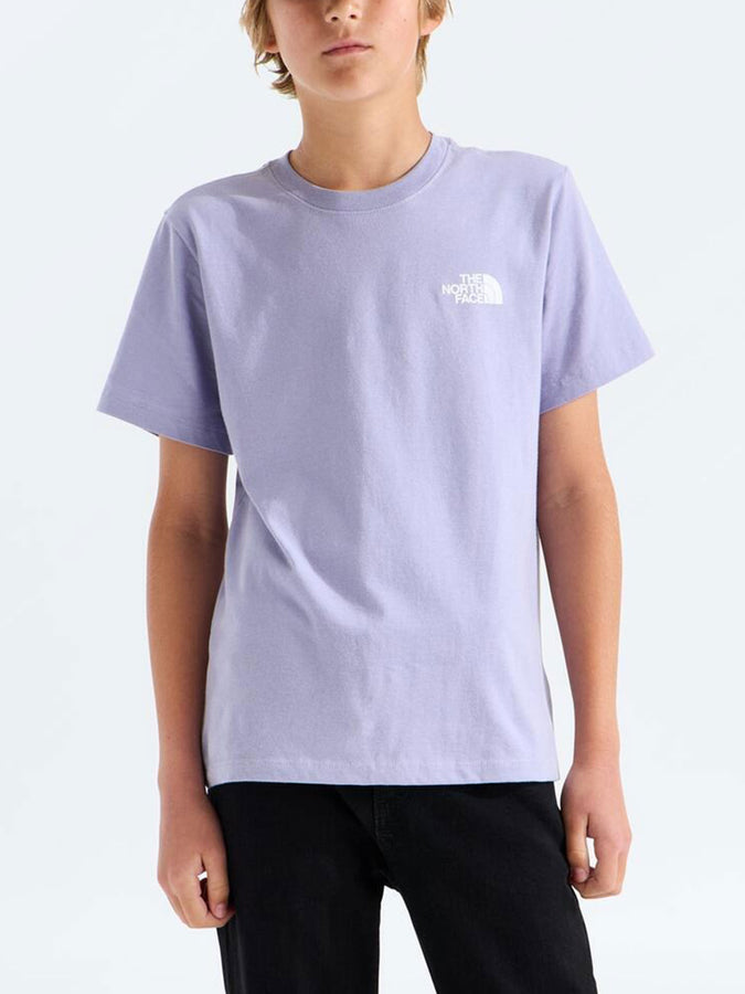 The North Face Evolution Box NSE T-Shirt Fall 2026 | PALE PLUM (NO5)