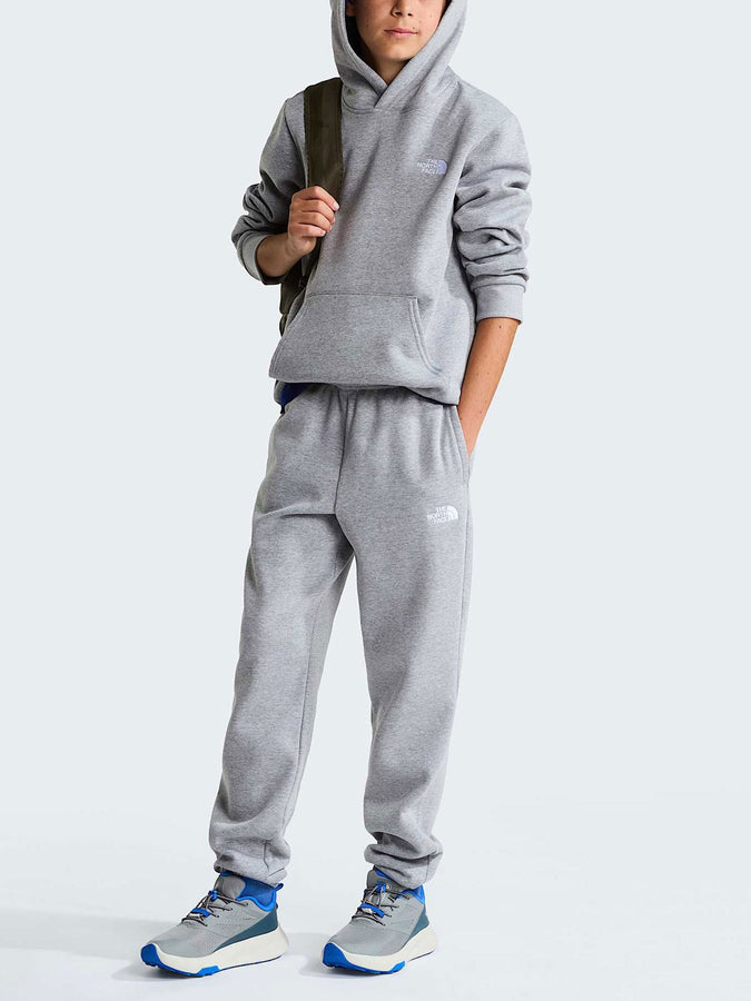 The North Face Evolution Simple Dome Hoodie Fall 2026 | TNF PALE GREY HEATHER (CQO)
