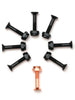 Bronze Phillips Bolts