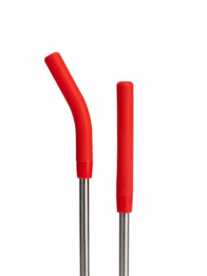Hydro Flask Stainless Steel Goji Straw Set | GOJI
