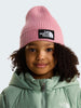 The North Face Tnf Logo Box Cuffed Beanie