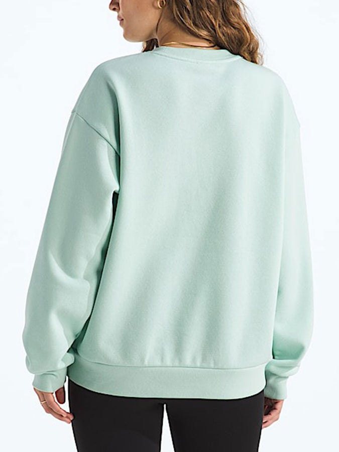TNF Evolution Simple Dome Oversized Sweatshirt Spring 2026 | OPAL FROST (G70)