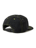 Polar Earl Snapback Hat