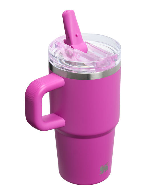 Stanley Quencher Protour Flip Straw 20oz Tumbler | DARK BLOSSOM