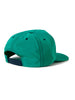 Polar Earl Snapback Hat