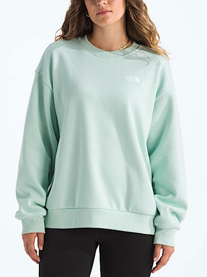 TNF Evolution Simple Dome Oversized Sweatshirt Spring 2026 | OPAL FROST (G70)