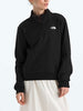 TNF Evolution Simple Dome 1/4 Zip Sweatshirt Spring 2026