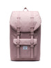 ASH ROSE (02077)