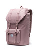 ASH ROSE (02077)